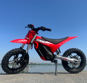 <span class=keywords><strong>Moto</strong></span> tout-terrain populaire pour adultes, mini-cross avec pneus de <span class=keywords><strong>grande</strong></span> <span class=keywords><strong>taille</strong></span> 16 pouces, moteur puissant - Product Image 4