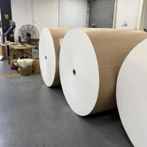 Rouleau de papier enduit de PE imperméable, haute rigidité, 150-320GSM, imprimé sur mesure pour l'emballage alimentaire, vente en gros en usine, commande en gros - Product Image 6