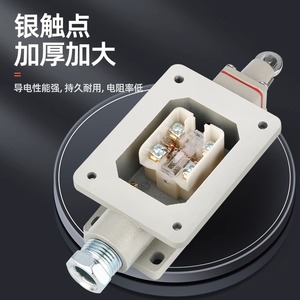 Bzx51 5z L N T Limit Switch Cast Aluminum Alloy Roller Explosion Proof Travel Switch Dlxk5 Series - Product Image 1
