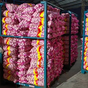Ajo Blanco Fresco de China, de Dientes Pequeños, Precio al por Mayor, Venta Directa de Fábrica de Shandong, Calidad Superior, Cosecha Reciente, Alho Ajo - Product Image 1