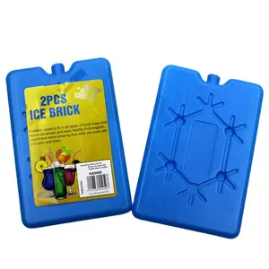 Reusable hard plastic ice packs Freezer gel ice boxes ice brick