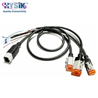 Rangkaian Kabel Deutsch DT04-2P Male Overmolded 2 Pin 2M 14AWG IP68 Tertutup untuk Harness Lampu Truk Tugas Berat