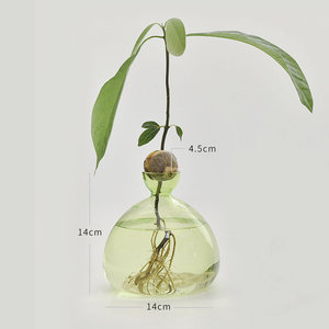 Jardín hogar Oficina Decoración <span class=keywords><strong>brote</strong></span> planta hidropónica terrario macetas colgantes de pared Estación de propagación de vidrio - Product Image 6