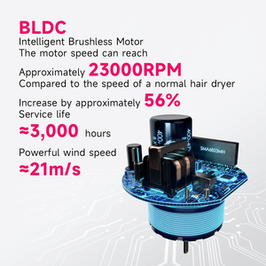 Secador de Pelo FirePhoenix 8100 MAX PRO, Especificaciones Regionales, 3000W, Motor BLDC, Enchufe Personalizado, Motor sin Escobillas, Secador Profesional para Salón - Product Image 3