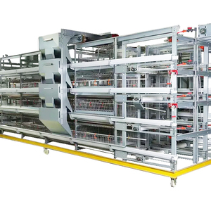 Nuovo Sistema Automatico di Gabbie per Galline Ovaiole <span class=keywords><strong>2026</strong></span> per Allevamenti di Polli in Tanzania - Product Image 1