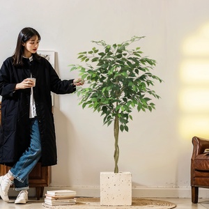 Petit arbre artificiel Banyan en <span class=keywords><strong>pot</strong></span> pour décoration intérieure, fausse plante bonsaï à bordure verte, en promotion - Product Image 3