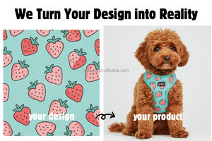 2025 productos para mascotas, los más vendidos, accesorios personalizados para caminar para perros, conjunto de <span class=keywords><strong>collar</strong></span> y correa de arnés para perros personalizados para suministros para mascotas - Product Image 3