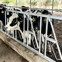 Penghalang Kepala Sapi Galvanis Celup Panas untuk Penghalang Pemberian Pakan Sapi Perah
