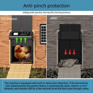 <span class=keywords><strong>Porte</strong></span> de <span class=keywords><strong>poulailler</strong></span> électrique en acier inoxydable à énergie solaire personnalisée en usine pour un fonctionnement contrôlé par minuterie - Product Image 3