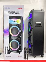 Enceinte de fête puissante d'extérieur JBR-1226 avec gros bouton, 60W, double haut-parleur de 12 pouces, batterie rechargeable 12V5A et deux micros sans fil