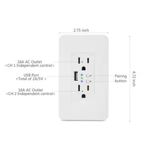 Smart WiFi Muur Outlets ONS Elektrische Stopcontacten met USB Charger 15A Onafhankelijke Schakelaar Afstandsbediening