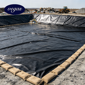 Estanque de Purificación de Aguas Residuales Artificial con Revestimiento de HDPE - Product Image 4