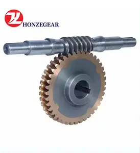 transmission Worm Gears OEM Brass Stainless Steel Worm wheel and gear set suppliers for speed reducer customized only
