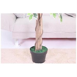 Arbre artificiel pour l'extérieur Simulation de rose pour mariage Maison en vrac Eco Friendly Oem/Odm Bas <span class=keywords><strong>prix</strong></span> Olive Big Fake Flower - Product Image 4