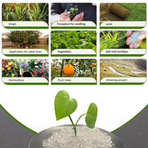 Henan SECCO Hydrogel Fertilizer Water Retaining SAP Powder Synthetic <strong>Resin</strong> Polymer Potassium Polyacrylate For Agriculture - Product Image 5