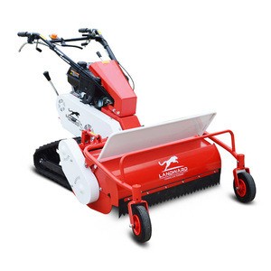 Cortadora de Césped Pequeña con Motor Propio para Jardín, Bajo Consumo de Combustible, Estilo Europeo - Product Image 1