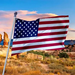 Groot Us Usa 3x5ft Geborduurde Amerikaanse Autohoes Mini Handzwaaiende Vlag Op Maat Gemaakte Bureauvlaggen Pet Usa Banner Vlag