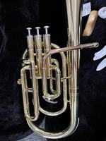 Yellow Brass BE Alto Horn Brass Instruments with Premium Case(AH-G400G-YRY)