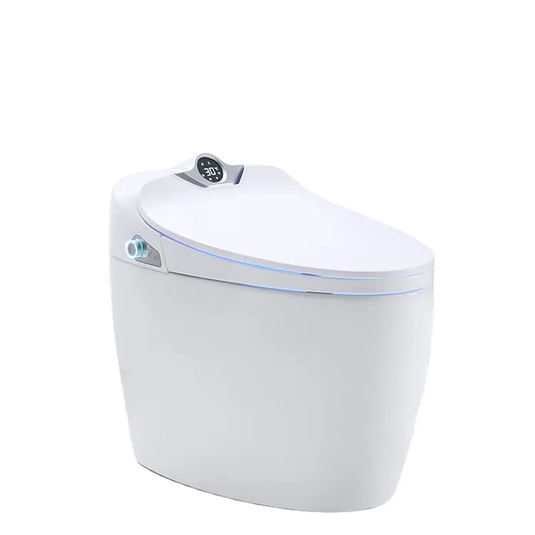 Hotel one piece ceramic electric intelligent smart toilet china