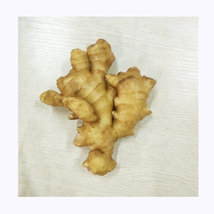 High Quality Dry Ginger Export with