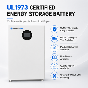 Batería LiFePO4 Certificada UL1973 de 16 kWh, 51.2 V, 314 Ah, 8 kW, CAN RS485, IP65 para Sistemas de Almacenamiento de Energía (SAE) Residenciales y Comerciales - Product Image 6