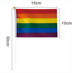 Bán buôn tiến bộ nhỏ niềm tự hào Cờ Tay vẫy tay Polyester cầu vồng LGBT với nhựa hoặc gỗ cực để hiển thị - Product Image 2