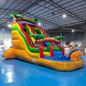 OEM/ODM Tobogán Acuático Inflable Personalizado con Diseño de Palmera, Equipo de Juegos al Aire Libre de <span class=keywords><strong>PVC</strong></span> para Niños y Adultos - Product Image 6