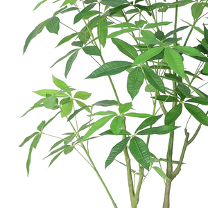 Venta caliente Planta artificial dinero árbol Zamioculcas zamiifolia Pachira <span class=keywords><strong>aquatica</strong></span> para decoración interior al aire libre - Product Image 5