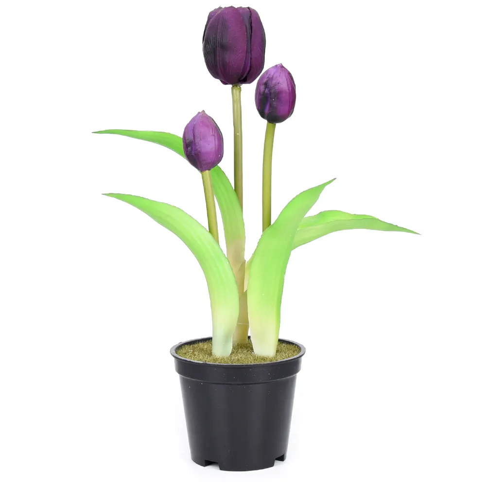 Hoa Tulip Nhựa Nhỏ Trong Chậu Cho Khu Vườn Khách Sạn Hoa Cảm Ứng Thật Nhân Tạo Trang Trí Cây Cảnh