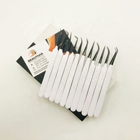 Pince à épiler professionnelle noire à pointe en fibre de plasma pour extensions de cils, avec logo personnalisé, en acier inoxydable durable, impression de cils