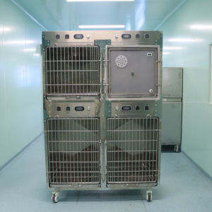 Nouvelle arrivée <span class=keywords><strong>Cage</strong></span> pour chien chauffante infrarouge avec fonction d'oxygène à 4 baies Emballage de boîte de style <span class=keywords><strong>simple</strong></span> pour le traitement de l'hébergement des chats - Product Image 1