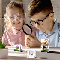 Ornements de Microscène Fantaisie Créative Unique, Vrais Insectes, Bugs, Animaux, Cadeaux de Nouveauté, Vente en Gros pour Noël, Cadeau de Voyage