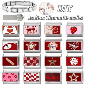 Bracelet en acier inoxydable, série rouge, éléments DIY, multifonctionnel, créatif, simple, design italien, modulaire, à motifs floraux - Product Image 1