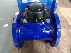 Medidor de agua fría/caliente, elemento extraíble, ISO9001 DN125 - Product Image 5