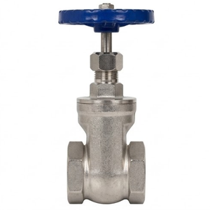 Válvula de Compuerta Criogénica SS304 de Operación Manual, Válvula de Cierre para Tuberías a Baja Temperatura para Aplicaciones Industriales - Product Image 1