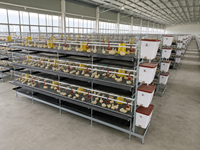 Nouvelle cage à poussins galvanisée à chaud à 4 niveaux pour cailles et poussins, avec abreuvoir, pour usage intérieur, petites exploitations et jardins.