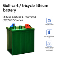 Batterie au plomb 6V230AH pour tricycle/quadricycle électrique, véhicule de tourisme/véhicule de patrouille, scellée avec ajout de liquide.