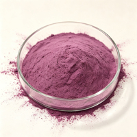 Poudre de Myrtille en Gros Prix Direct Usine Extrait de Myrtille en Poudre pour Crème Glacée