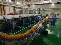 Fruitverwerkingsmachine Industriële Ananassap Productielijn Sapconcentratie Verwerkingslijn Fabrieksmachines