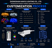 Guirlandes lumineuses décoratives étanches IP67 110V, 10 mètres, 100 ampoules, télécommande, effet ciel étoilé, pour extérieur, fabrication en usine