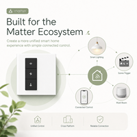 Interrupteur intelligent Matter à écran tactile, contrôle central, produits pour la maison intelligente, automatisation domestique, panneau de commande pour la maison intelligente, pour bureau, hôtel