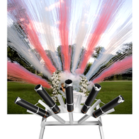 Canon à confettis et feux d'artifice colorés pour mariage, déclencheur TNT, ensemble en rangée unique en forme d'éventail, pour révélation du sexe, scène de mariage et fête