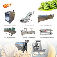 Fabrieksdirecte verkoop Automatische productielijn voor bananen- en plantainchips Hoge efficiëntie Voedselveilige roestvrij staal