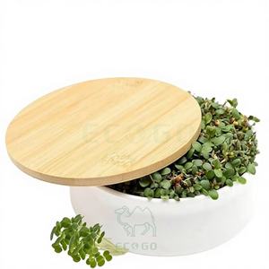 ชุดปลูกถั่วงอก Eco Go พร้อมจานเซรามิกดีไซน์หรูหราและฝาไม้ไผ่ ดีไซน์แบบซ้อนเก็บได้ เป็นมิตรต่อสิ่งแวดล้อม ทนทาน เหมาะสำหรับปลูกผักใบเขียวที่อุดมด้วยสารอาหาร - Product Image 1