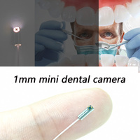 Endoscopio Veterinario Pequeño con Puntas Flexibles, Módulo de Cámara USB, Cámaras OV6946 Personalizables, Punta de Endoscopio 400x400p SIN Placa USB