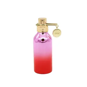 wholesale fancy luxury atomizer UV pump aluminum 30ml 50ml 120ml perfume spray bottle