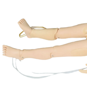 ADA Advanced Children's Comprehensive First Aid Training Simulator (Cinco Anos) e Aid Training Simulator (1 ano de idade) - Product Image 6