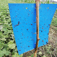 Rouleau de colle bleue PP pour pièges à insectes, bande adhésive, planche à colle pour papier à mouches, machine à fabriquer de la colle pour tuer les mouches