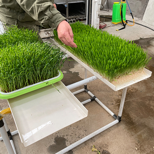 Sản phẩm hot 2023 PVC thức ăn gia súc khay thủy canh thức ăn gia súc hệ thống hạt giống nảy mầm tùy chỉnh khay để bán - Product Image 5