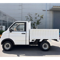 EEC COC LHD L6e 45 km/h Véhicule électrique pick-up à énergie nouvelle à quatre roues 3500W Automatique Hydraulique LiFePO4